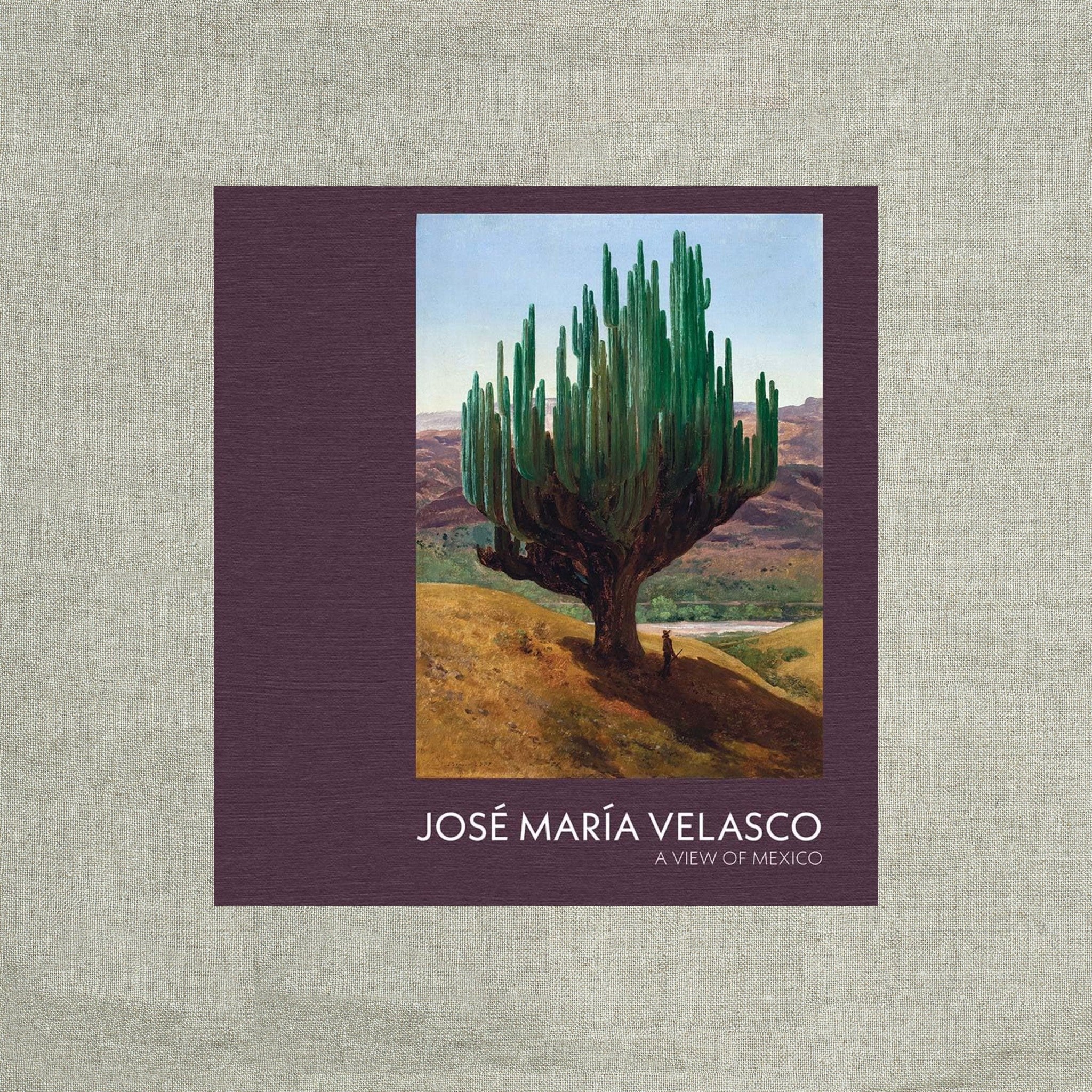 Jose Maria Velasco: A View of Mexico
