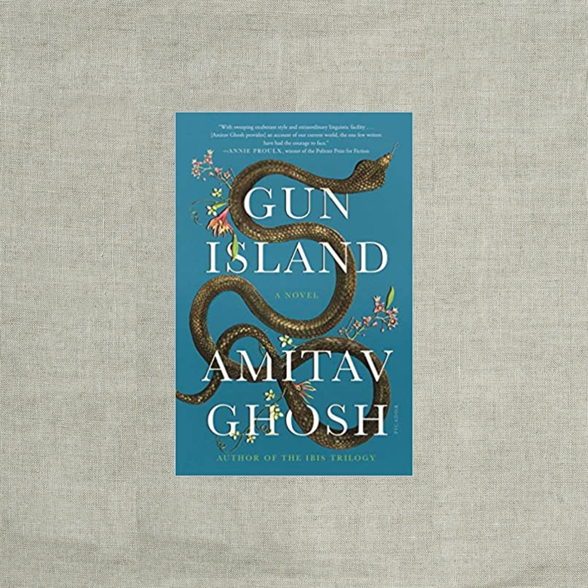 Gun Island