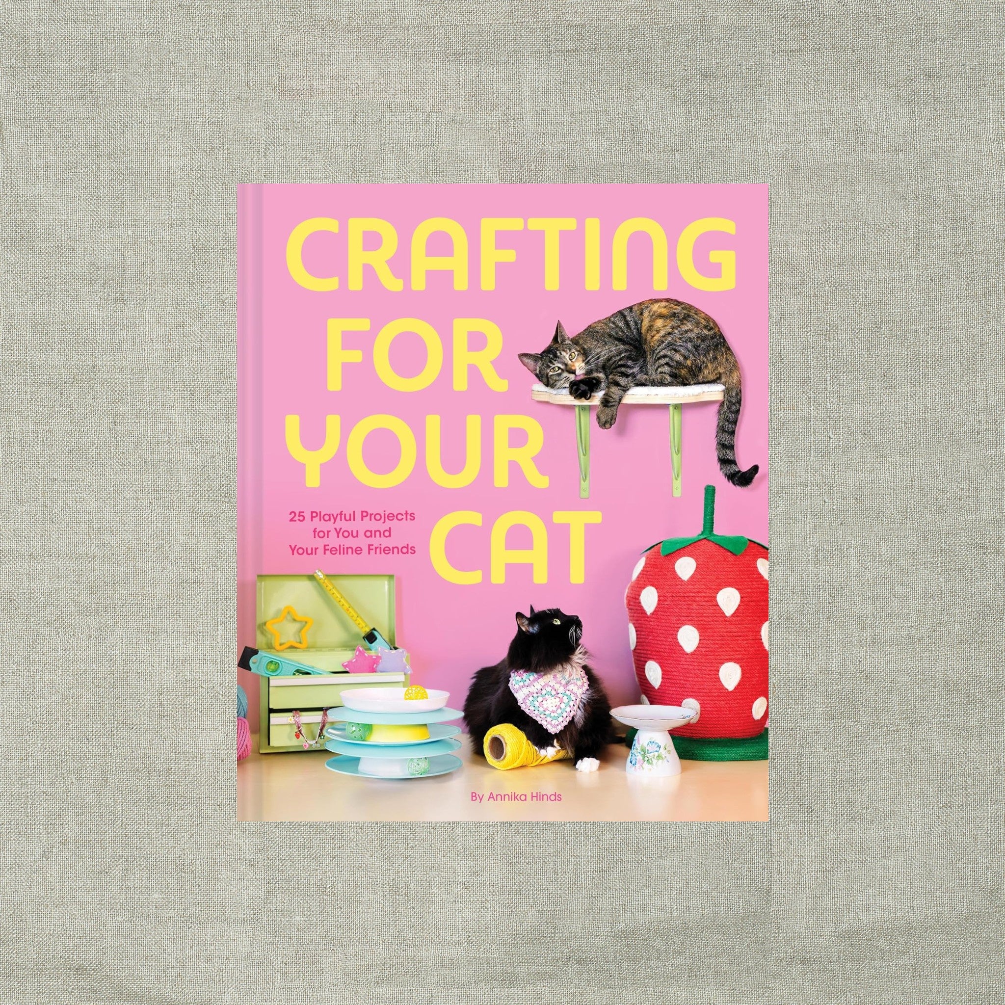 Crafting for Your Cat: 25 Playful Projects for You and Your Feline Friends