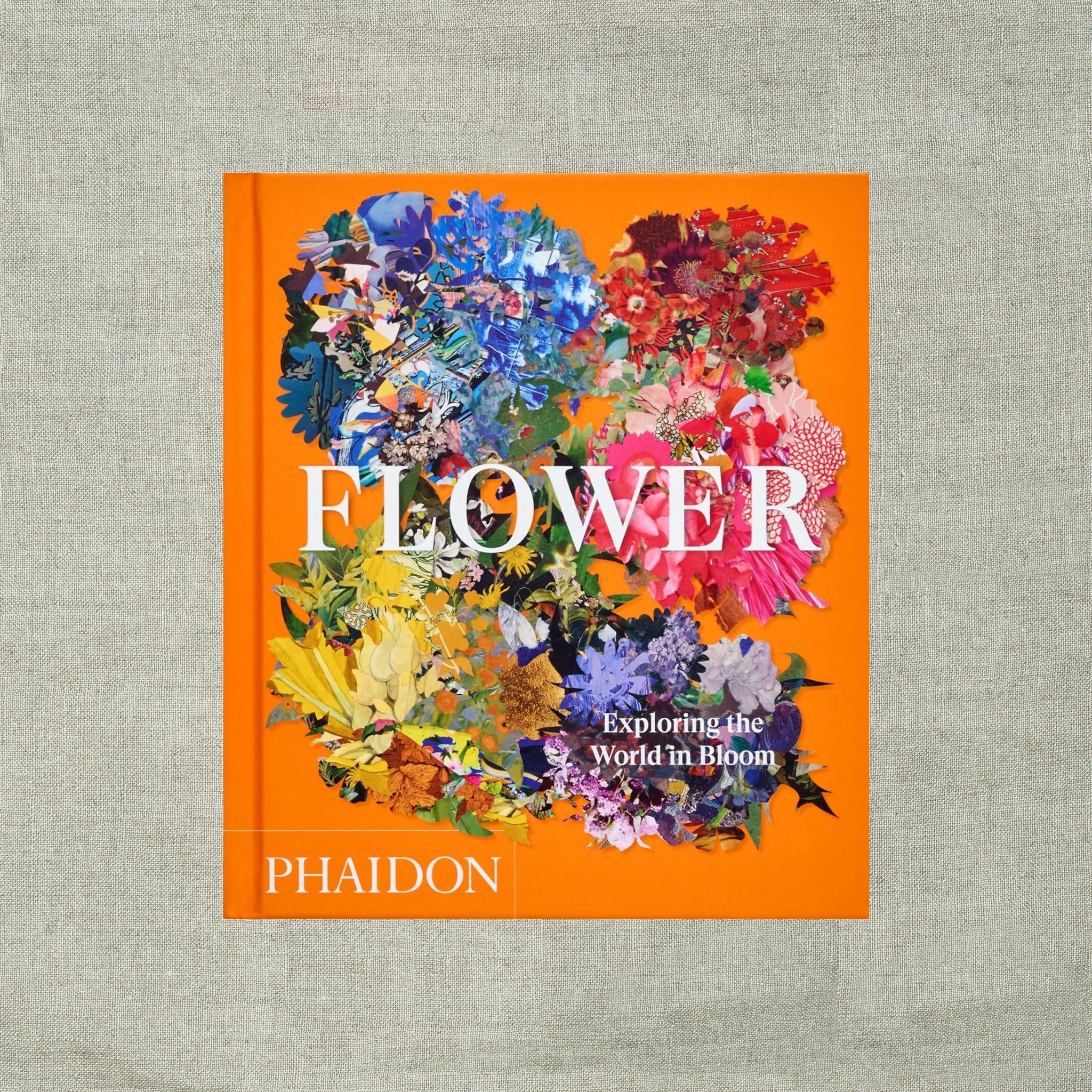 Flower: Exploring the World in Bloom