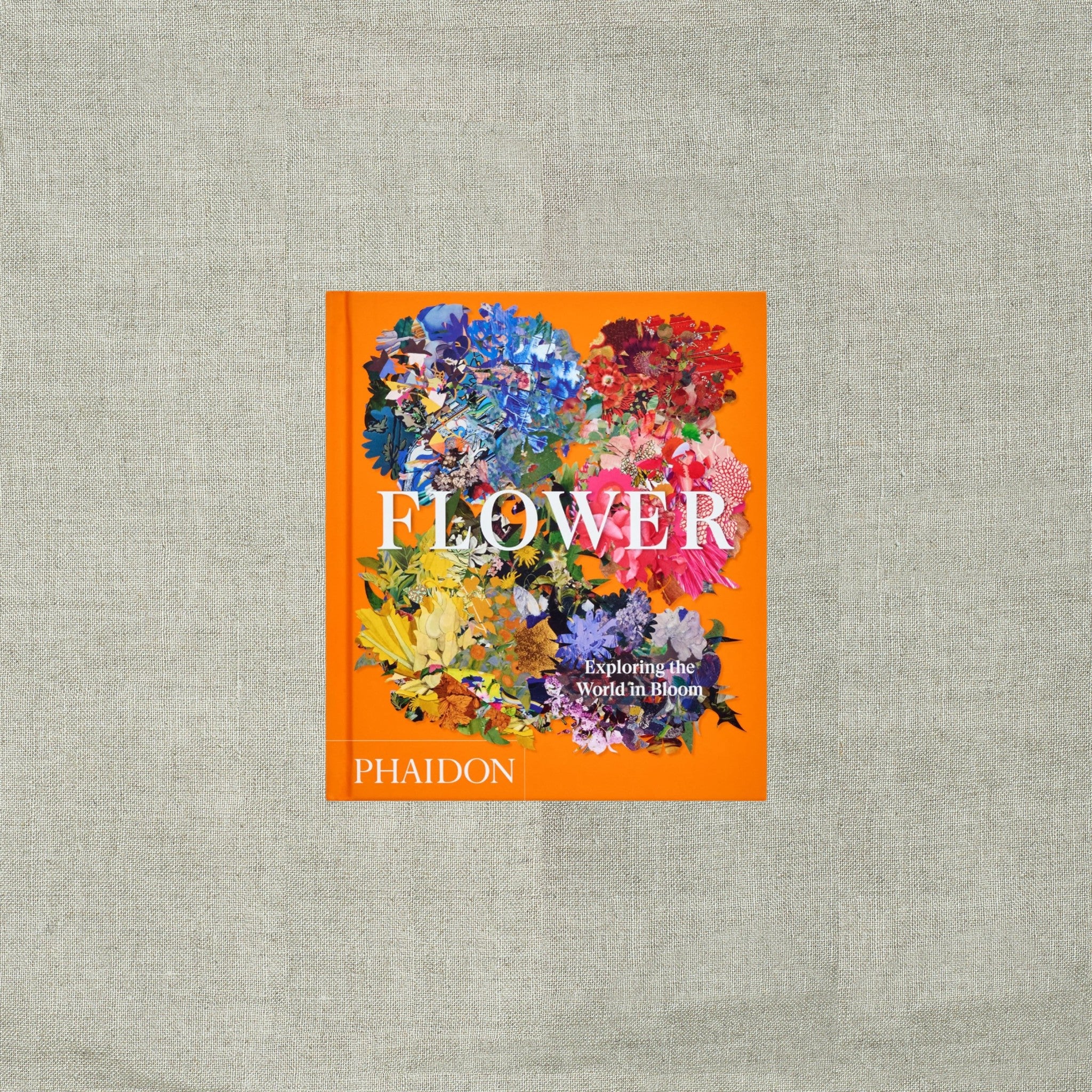 Flower: Exploring the World in Bloom