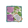 Tea Towel Set - Mint + Lilac