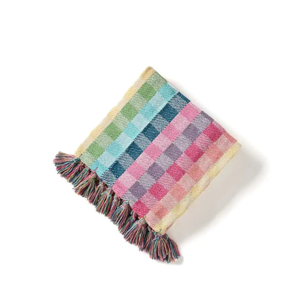 Rainbow Gingham Redthread Throw Blanket