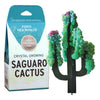 Crystal Growing Kit - Saguaro Cactus